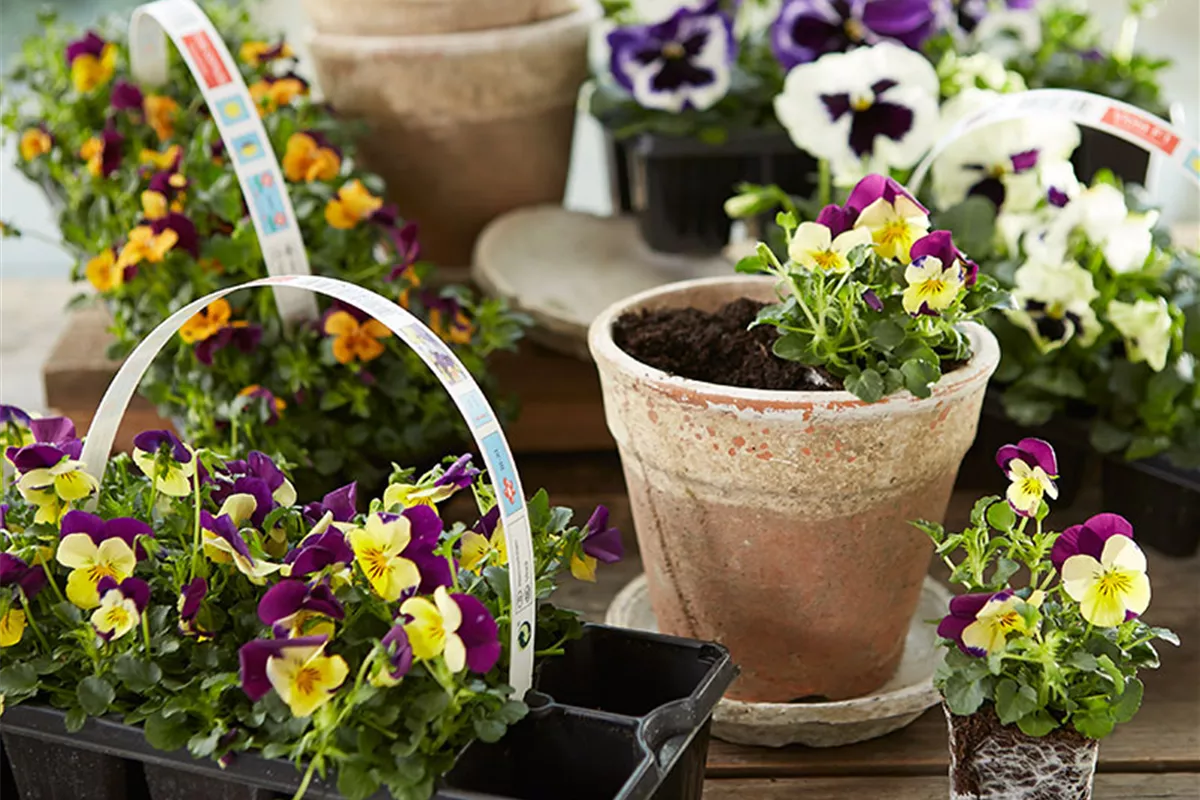 Nichts mehr verpassen! - Möbius Newsletter