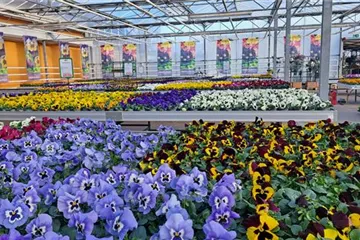 Eröffnung Saisonhaus!