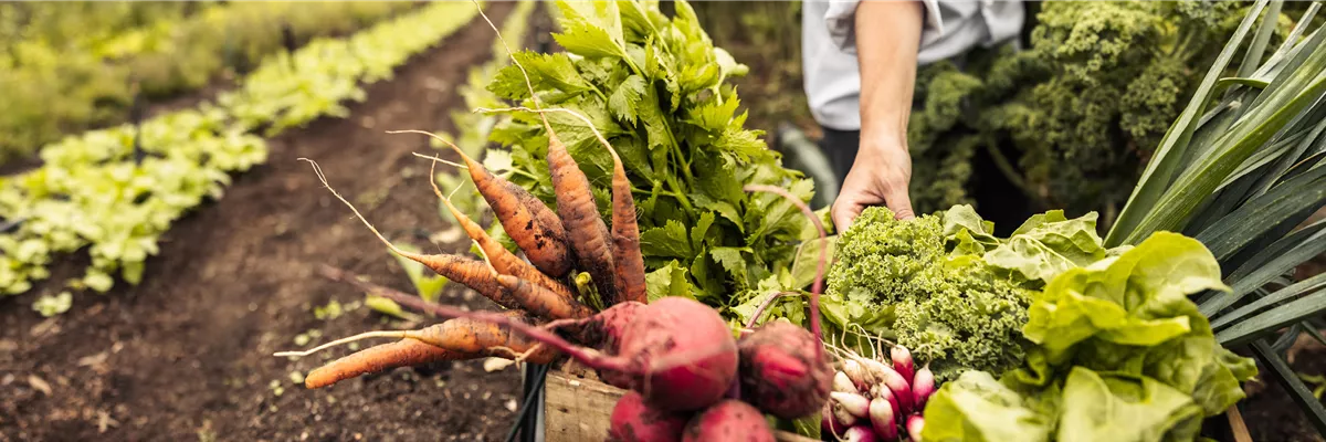 Buch des Monats: September!