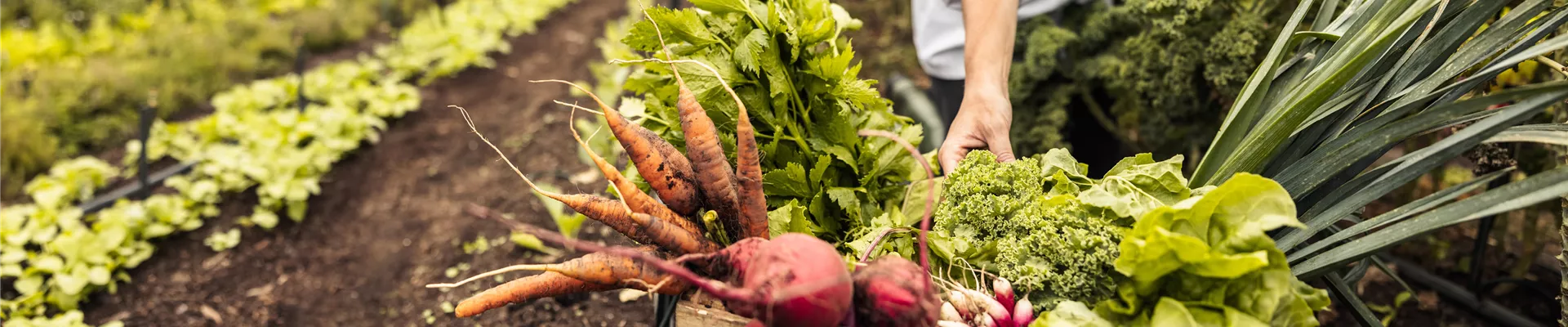 Buch des Monats: September!