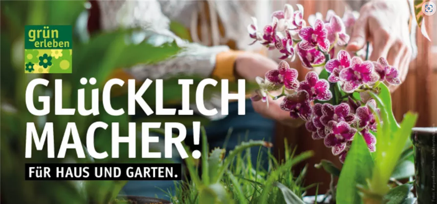 Gutschein Motiv Glücklichmacher Haus Und Garten Gutschein Motiv Glücklichmacher Haus Und Garten