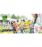 Gutschein Motiv ALLES GUTE 