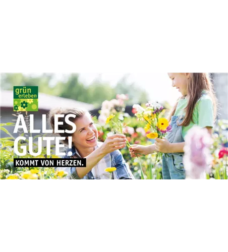 Gutschein Motiv ALLES GUTE