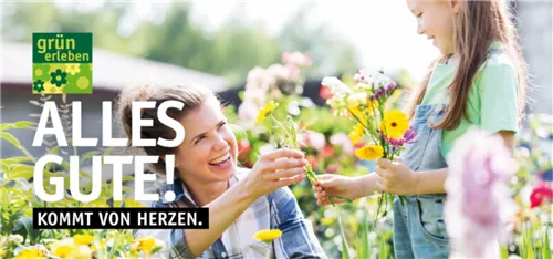 Gutschein Motiv ALLES GUTE 