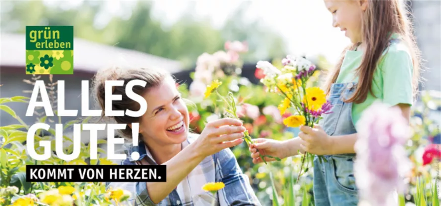 Gutschein Motiv ALLES GUTE 