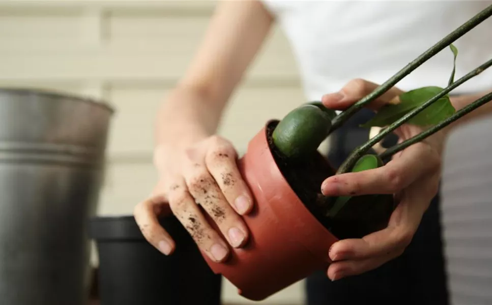 PRAXIS-TIPPS - NÜTZLICHE TIPPS UND TRICKS! PRAXIS-TIPPS - NÜTZLICHE TIPPS UND TRICKS!