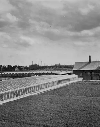 Draufsicht_1931.jpg
