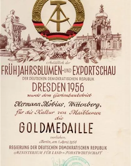 Goldmedaille.jpg