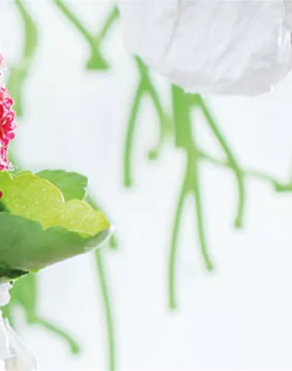 FüR DIE BESTE! FüR DIE BESTE!