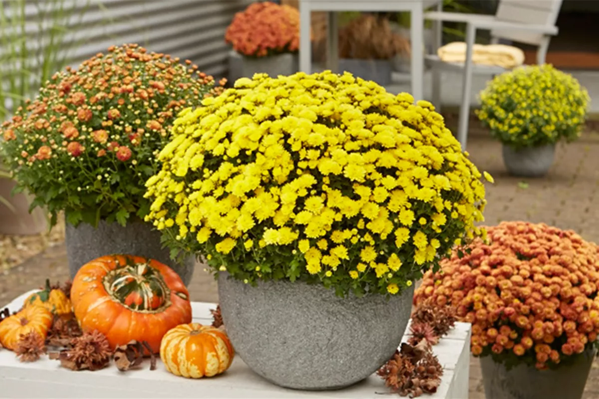 Nichts mehr verpassen! - Möbius Newsletter