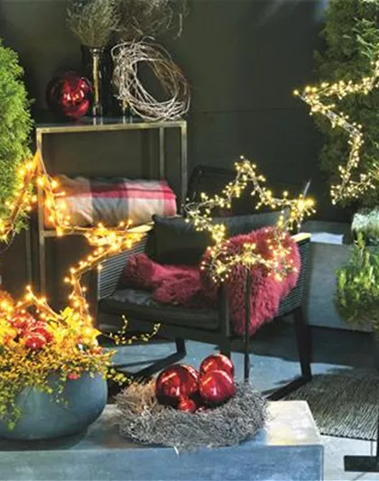 LICHTBLICKE IM WINTER-GARTEN!