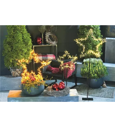 LICHTBLICKE IM WINTER-GARTEN!