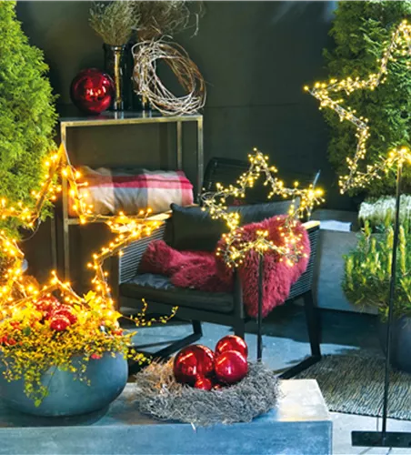 LICHTBLICKE IM WINTER-GARTEN!