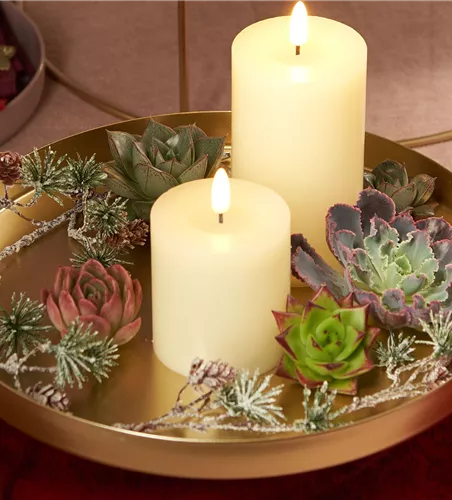 IM GLANZ DER ELEGANZ!