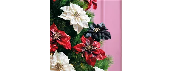 IM GLANZ DER ELEGANZ!