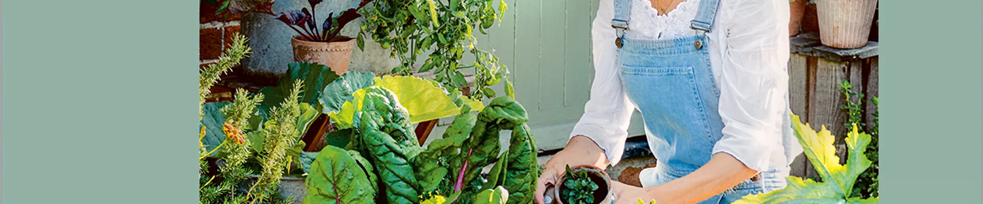 Buch des Monats: März!