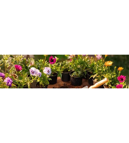 Buch des Monats: Januar!