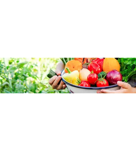 Buch des Monats: April!