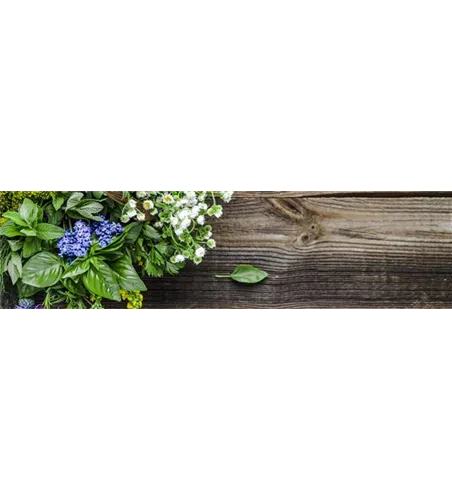 Buch des Monats: Juni!