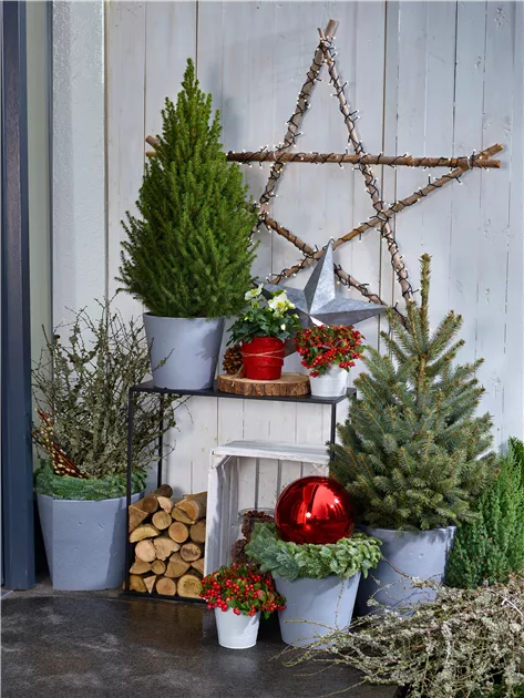 To-Do's im Dezember