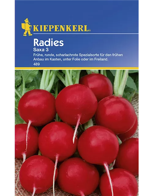 Radies Saxa 3 Preisgruppe B