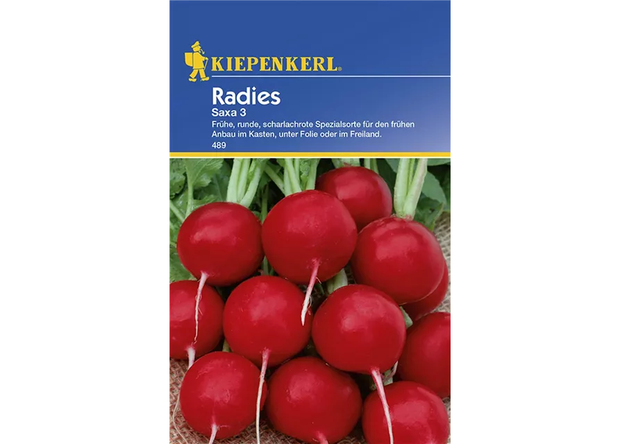 Radies Saxa 3 Preisgruppe B