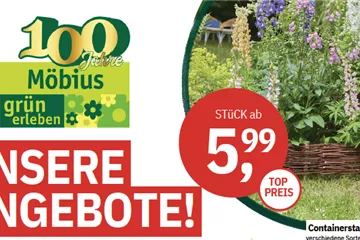 TOP Angebote im Juni