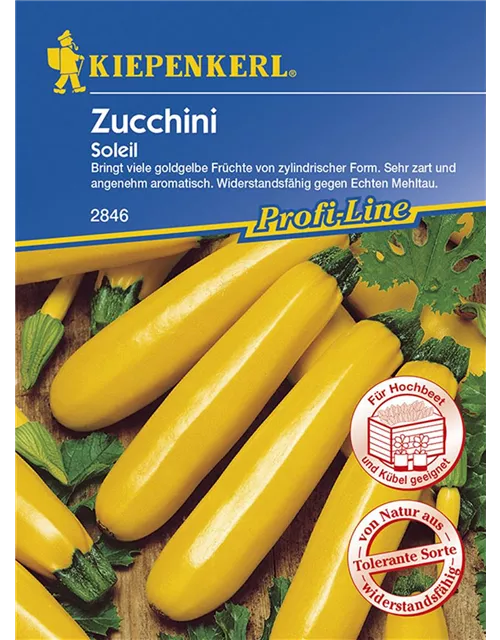 Zucchini Soleil KIE-G
