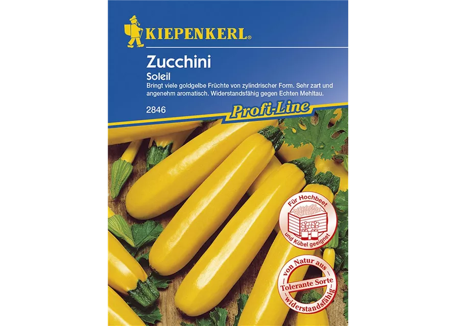 Zucchini Soleil KIE-G