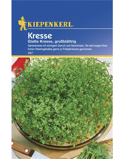 Kiepenkerl Kresse Glatte PG C