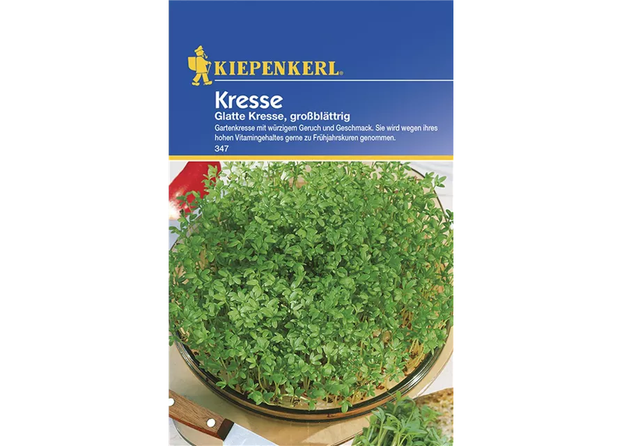 Kiepenkerl Kresse Glatte PG C