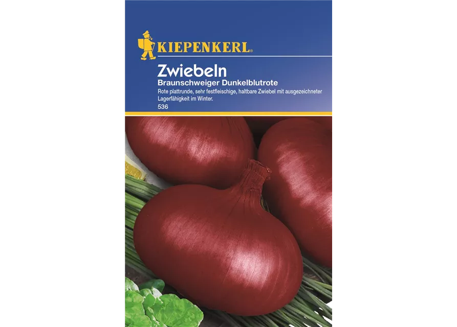Kiepenkerl Zwiebeln 