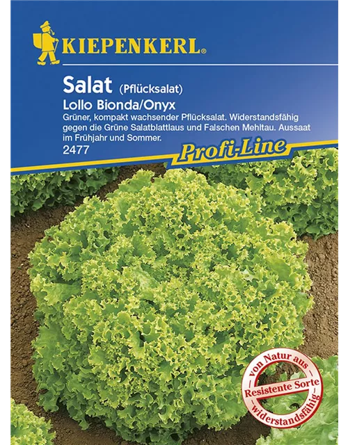 Kiepenkerl Kraussalat Lollo Bionda PG K