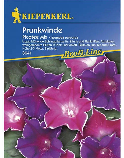 Ipomoea Picotee Mix