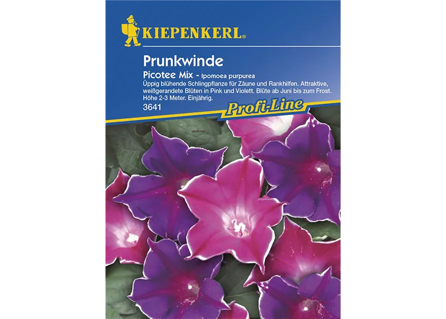 Ipomoea Picotee Mix