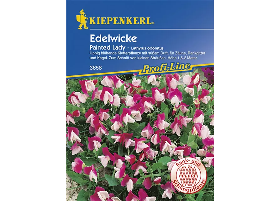 Lathyrus Painted LadyPreisgruppe G