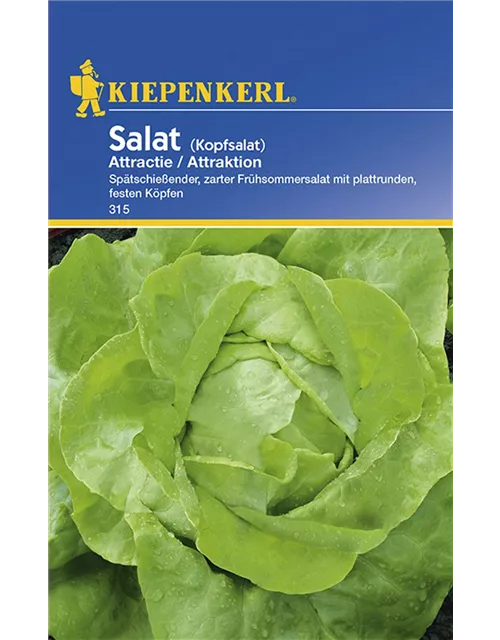 Kopfsalat Attractie Preisgruppe B