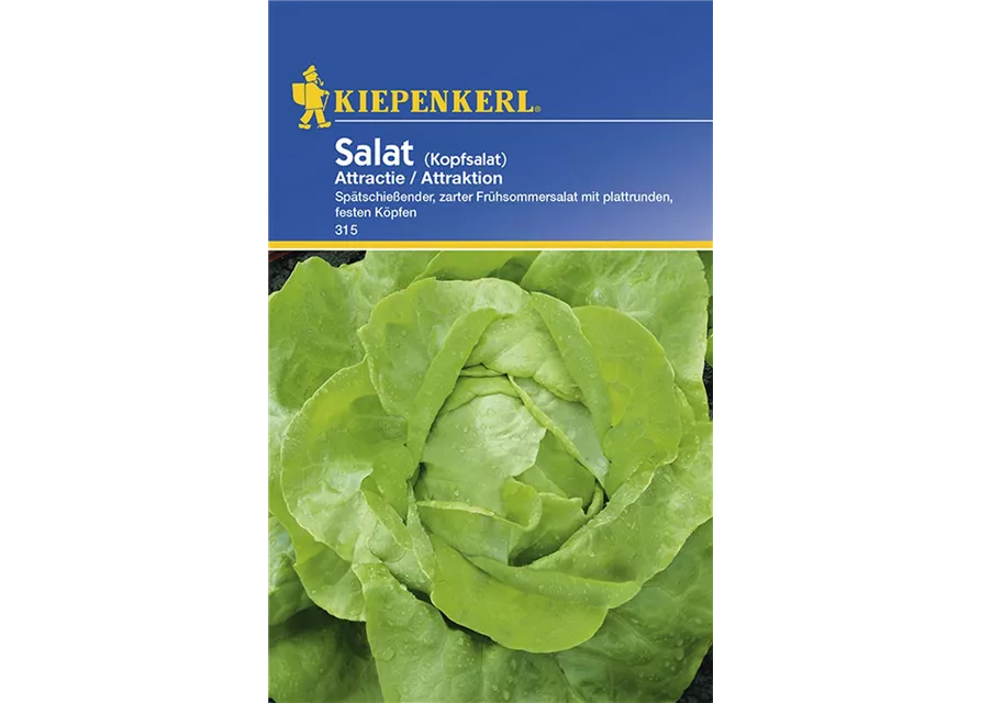 Kopfsalat Attractie Preisgruppe B