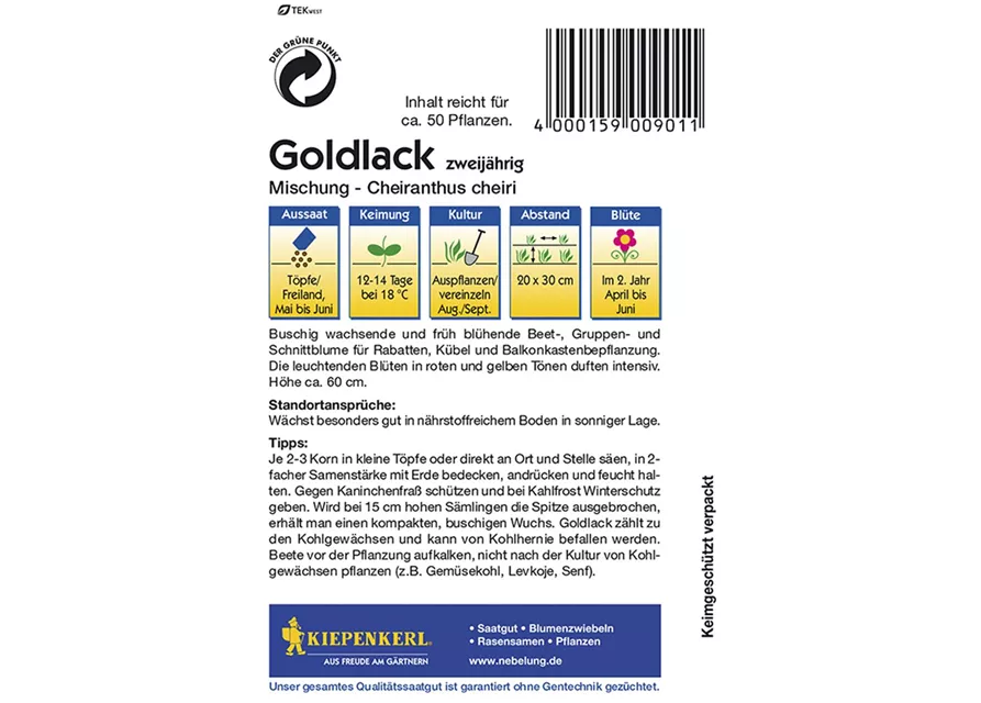 Cheiranthus Goldlack Mix Preisgruppe B