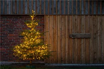 Weihnachtsbaumverkauf 