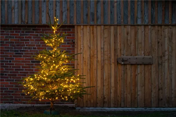 Weihnachtsbaumverkauf 