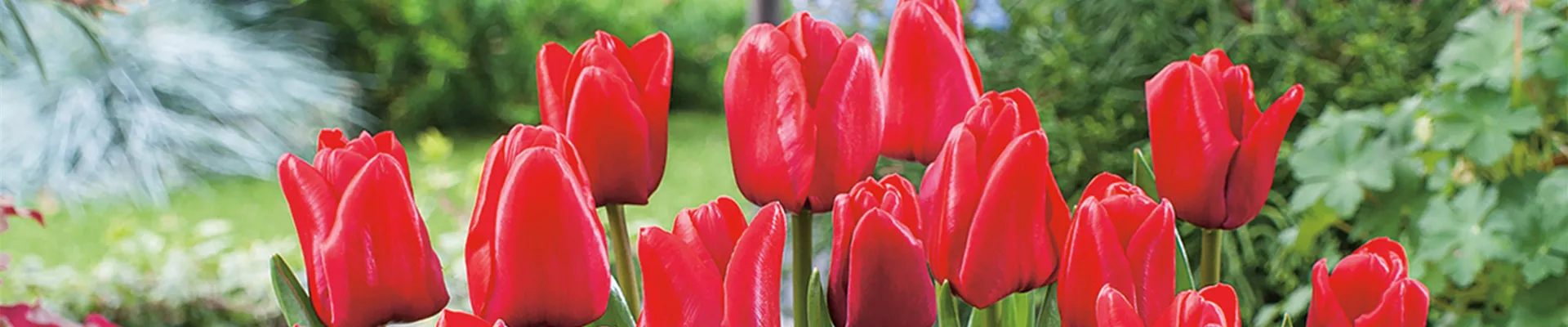 VORSORGEN MIT VORFREUDE.