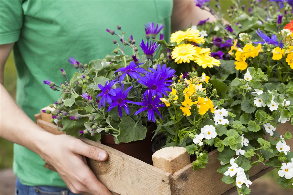 Nichts mehr verpassen! - Möbius Newsletter