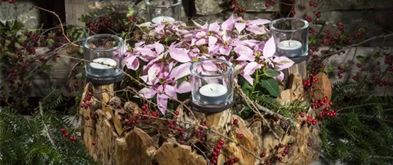 ADVENT - MIT SCHöNEN IDEEN DURCH DIE VORWEIHNACHTSZEIT ADVENT - MIT SCHöNEN IDEEN DURCH DIE VORWEIHNACHTSZEIT