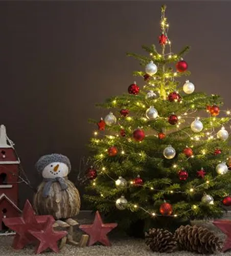 TRADITION DES WEIHNACHTSBAUMS