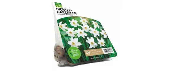 FRüHLING BEGINNT IM HERBST!
