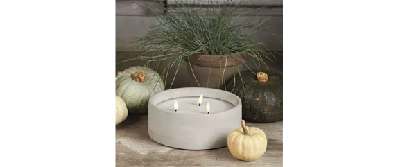 BUNTE HERBSTFREUDE!