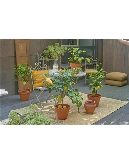 EIN GANZ BESONDERER DUFT LIEGT IN DER FRüHLINGSLUFT!