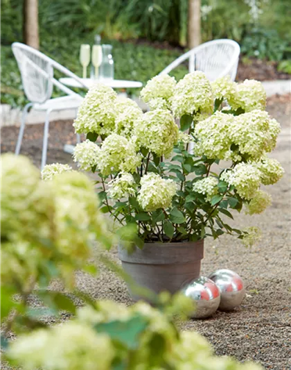 AUSZEIT IM GARTEN!