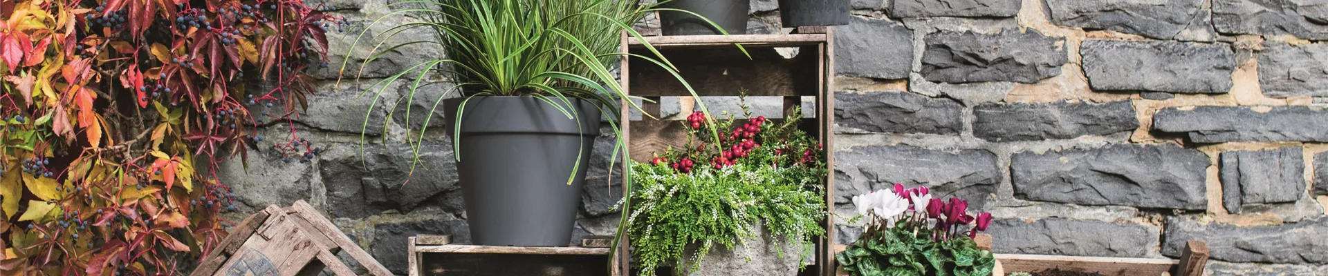 WIR SIND FEUER & FLAMME!